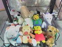 Peluches diverses 1€