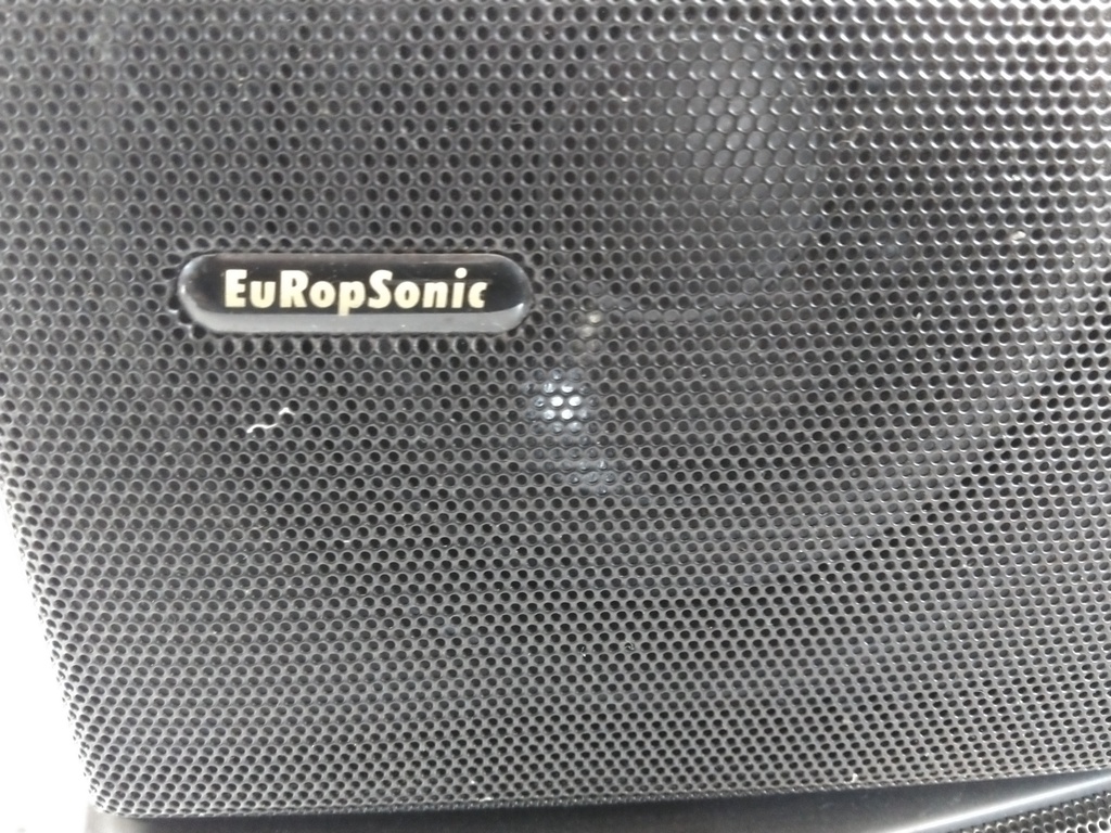 Paire d'HP EuRopSonic EA80