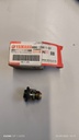 Thermostat hors-bord neuf Yamaha