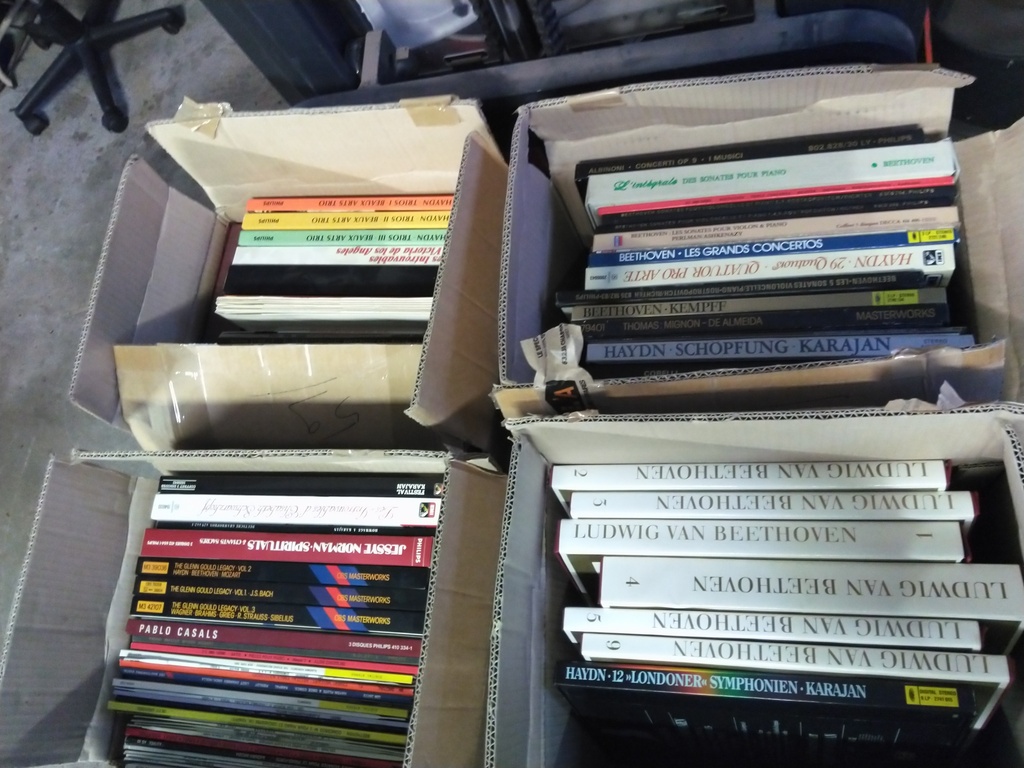 Lot de disques Vinyles