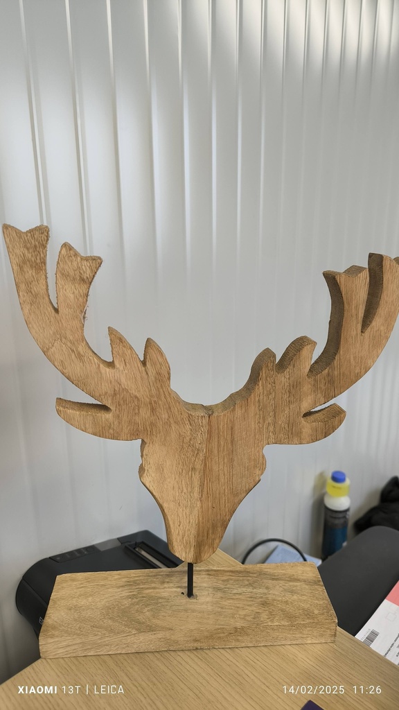 Tête de cerf bois