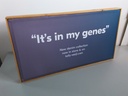 [R3B2] Cadre toile tendue" It's m'y genes".