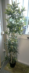 [Z4Z10] Plante artificielle